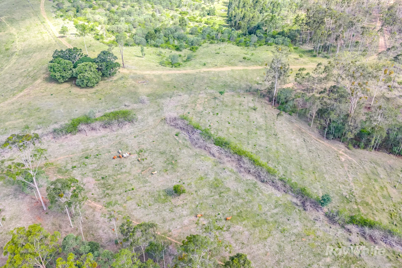 Additional image 31 of 35515 Bruce Highway, Monduran QLD 4671
