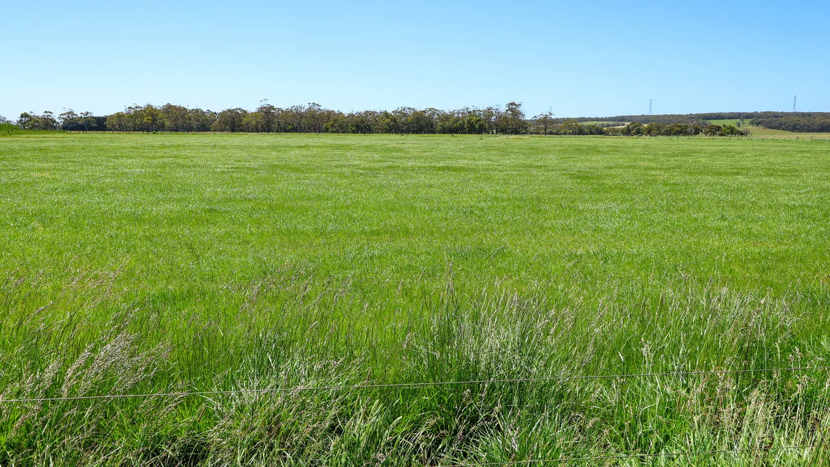 Additional image 25 of 111 Smith Street, Heywood VIC 3304