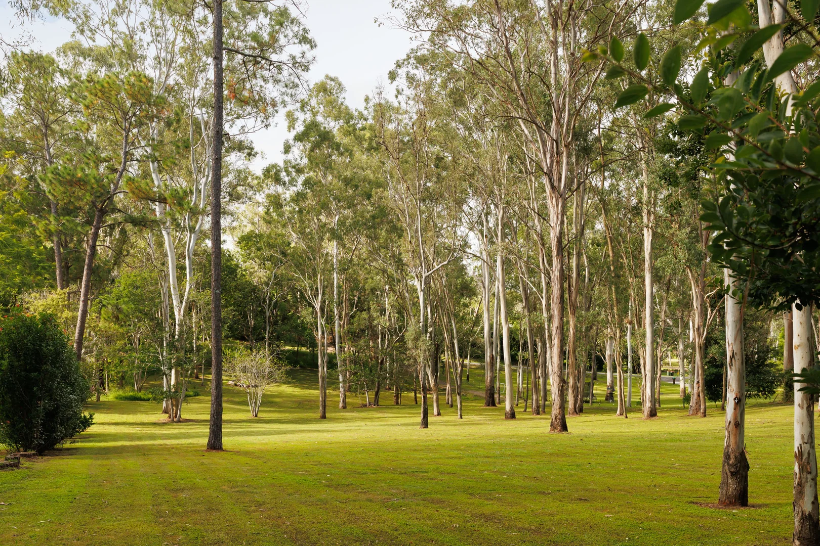 Additional image 4 of 78 Herron Road, Pullenvale QLD 4069