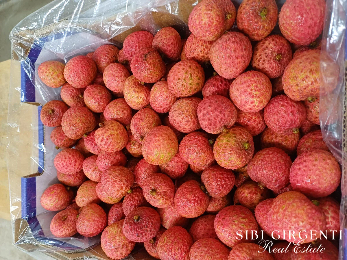 Additional image 16 of 84 Chisari Road, Mutchilba QLD 4872