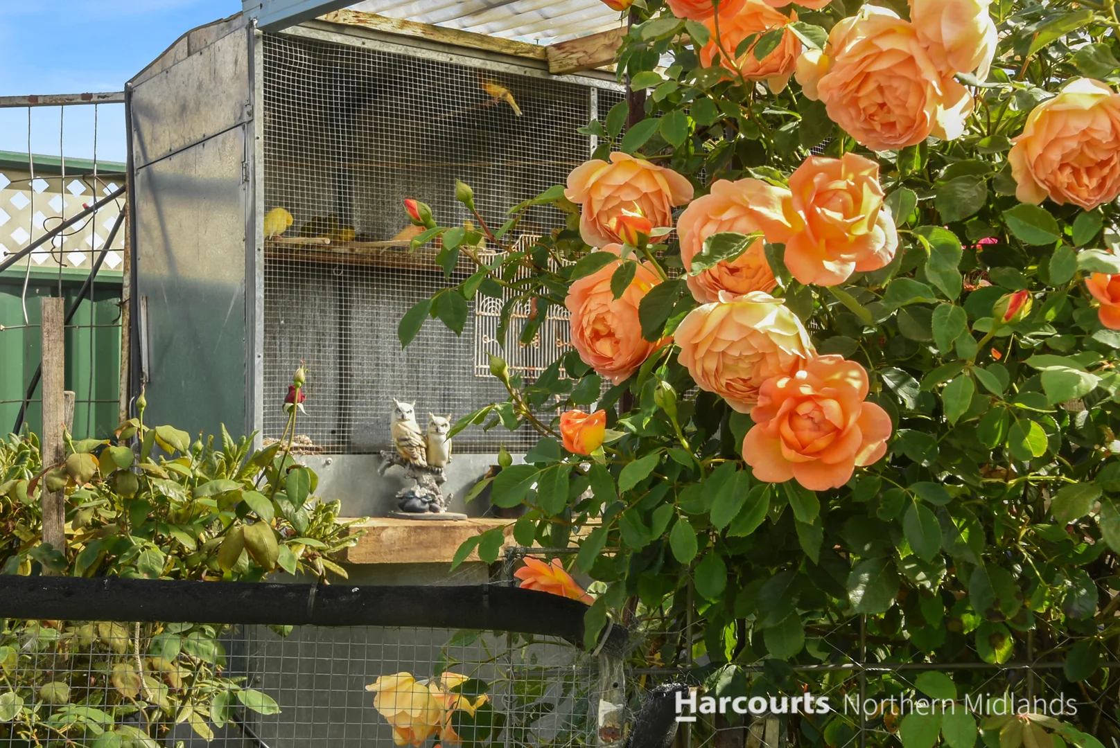 Additional image 22 of 28 Main Street, Cressy TAS 7302