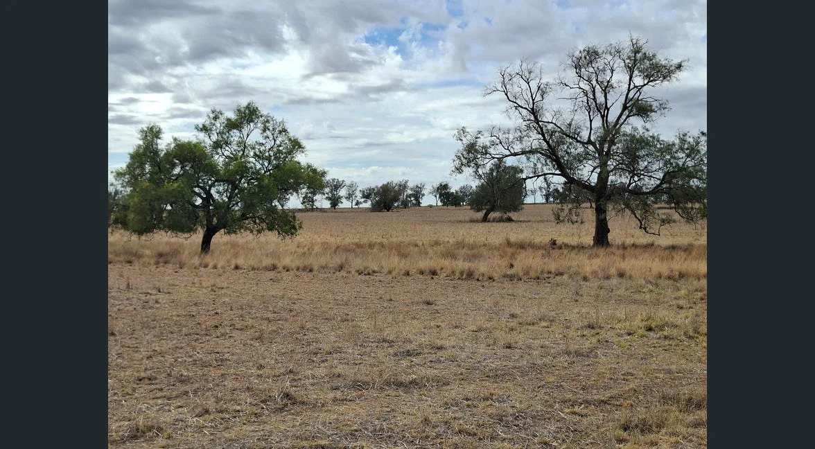 Additional image 30 of Alloway, Gilgandra NSW 2827