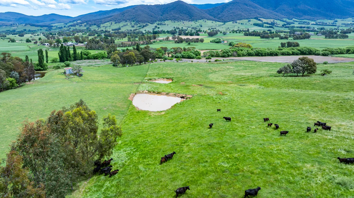 Additional image 22 of Swamp Lane, Dederang VIC 3691