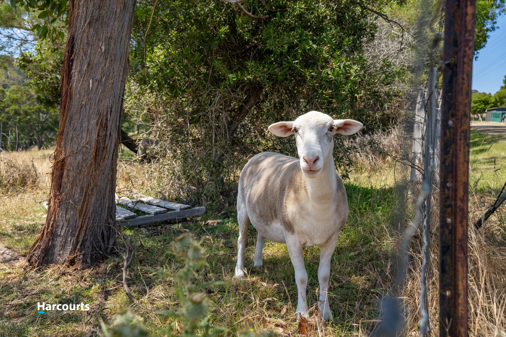 Additional image 8 of Lot 1 & 2 Graces Road, Glaziers Bay TAS 7109