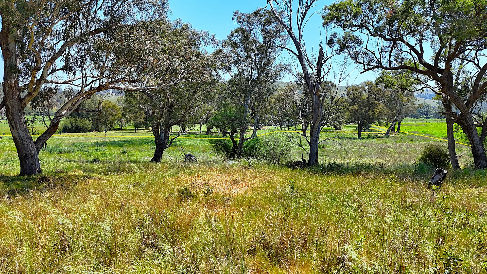 Additional image 13 of 40 Merriwa Road, Willow Tree NSW 2339