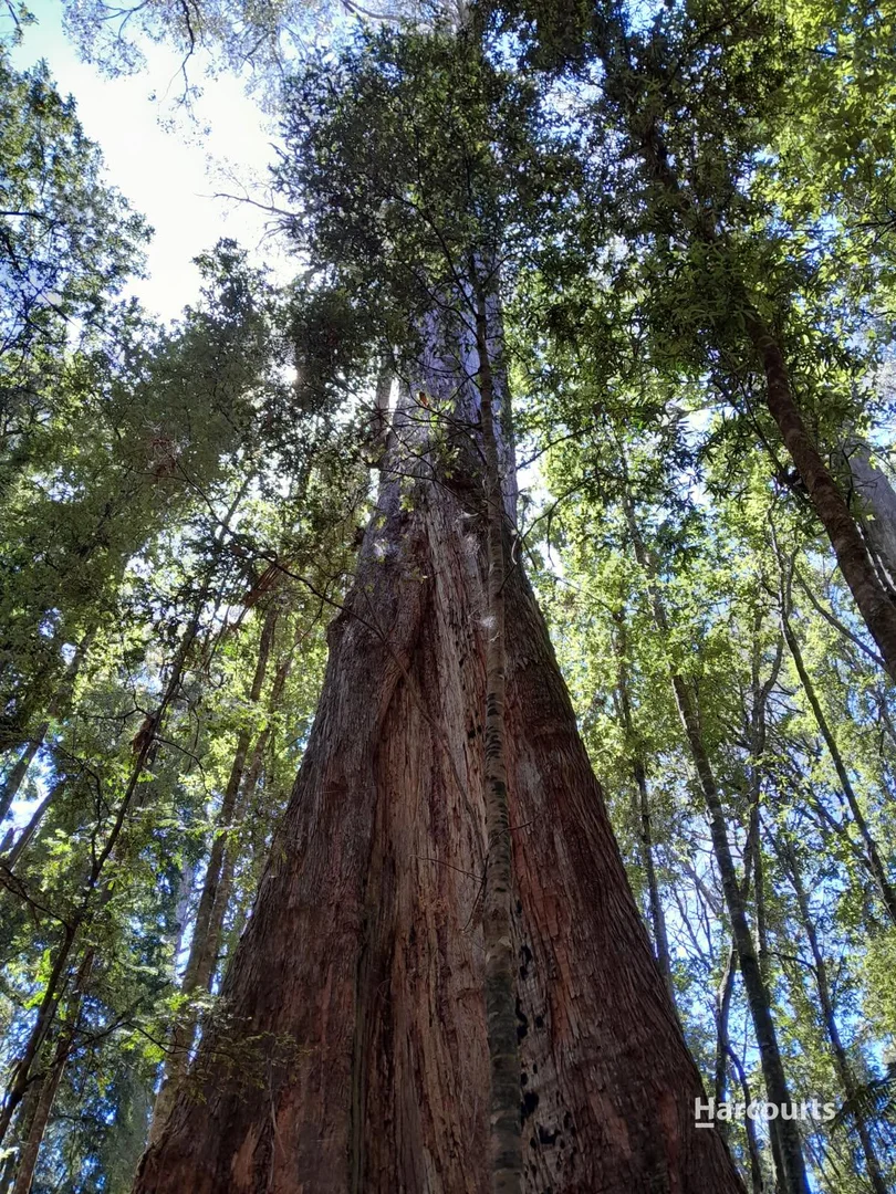 Additional image 7 of 654 West Calder Road, Calder TAS 7325