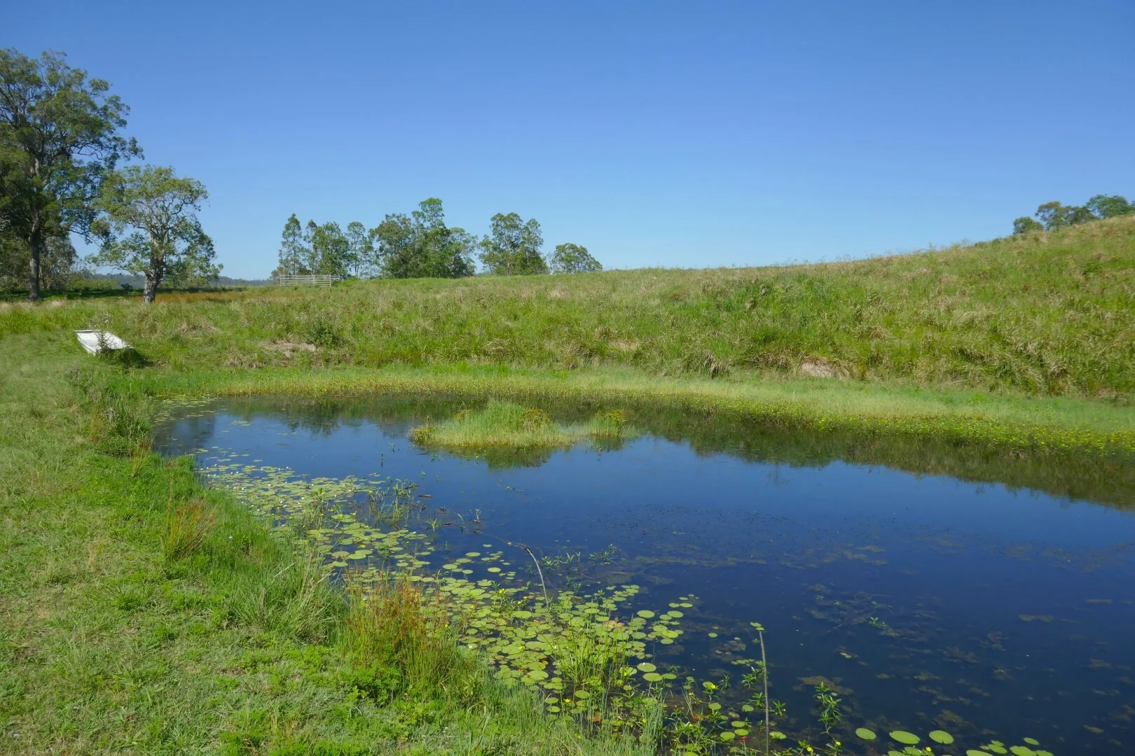 Additional image 32 of 258 Iron Pot Creek Rd, Ettrick NSW 2474