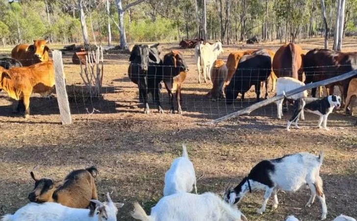 Additional image 12 of 136 Oyster Creek Road, Oyster Creek QLD 4674