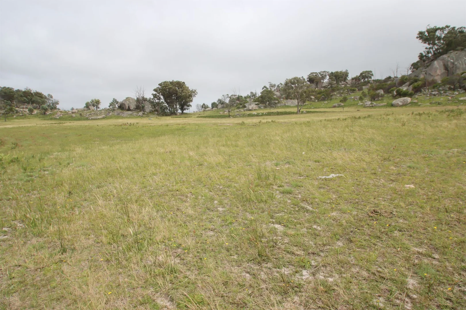 Additional image 11 of Lot 22 Kildare Road, Tenterfield NSW 2372