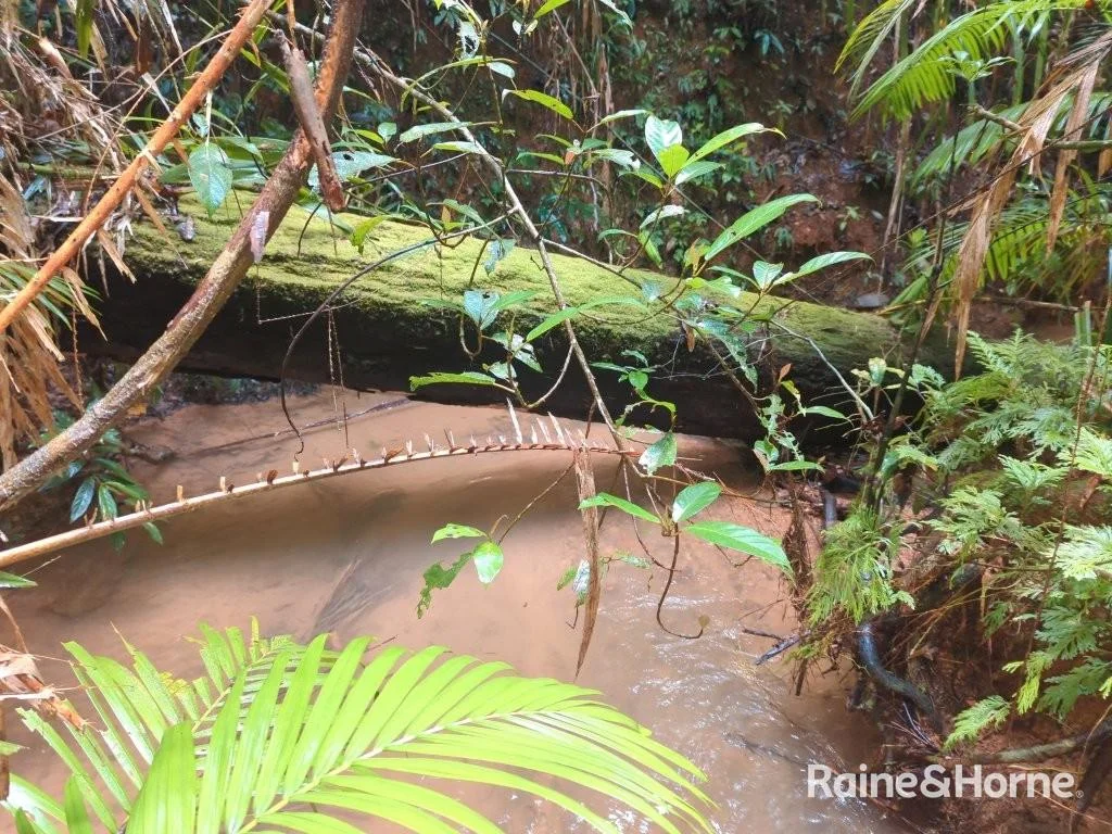 Additional image 12 of Lot 11 Milky Pine Road, Kimberley, Daintree QLD 4873