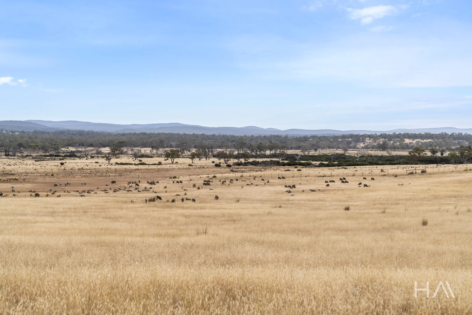 Additional image 2 of Lot 50 Springs Road, Swansea TAS 7190