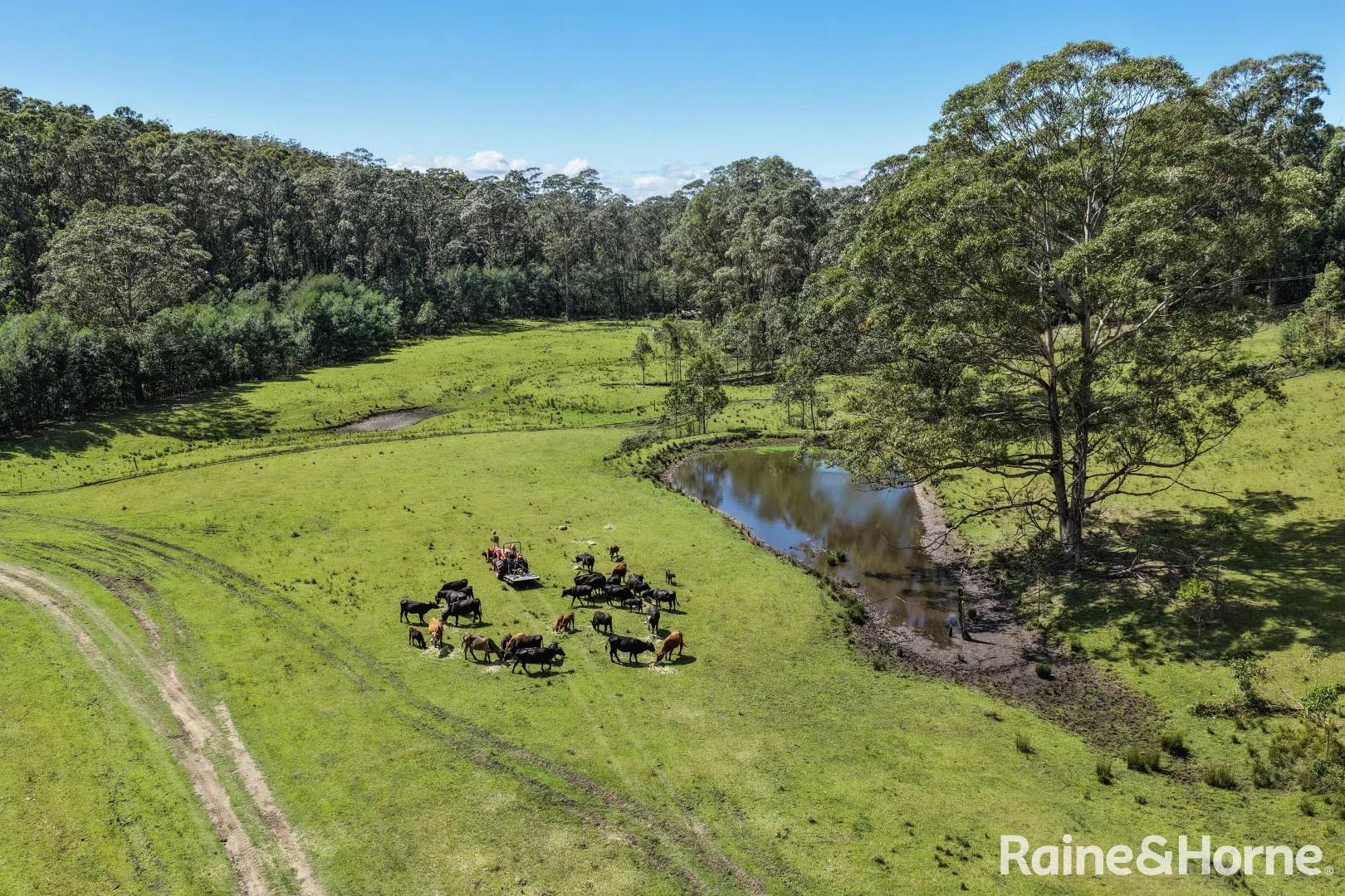 Additional image 3 of 225 Woodburn Road, Morton NSW 2538