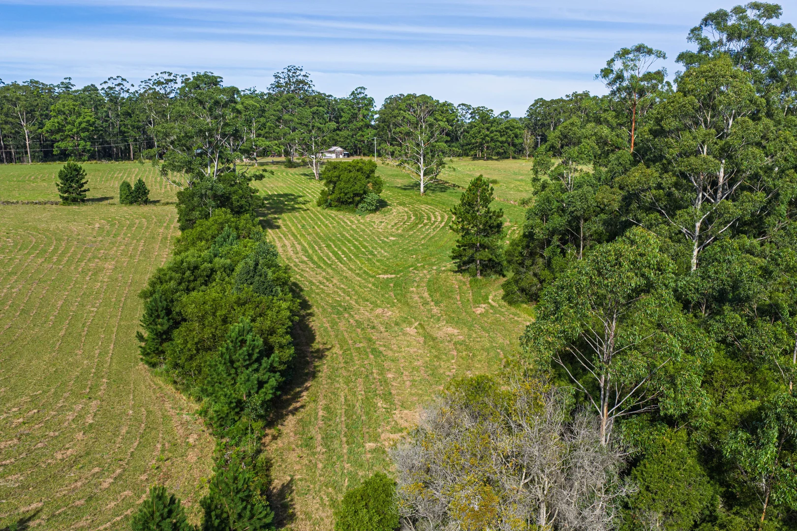 Additional image 24 of 105 Cutty Creek Road, Bobs Creek NSW 2439