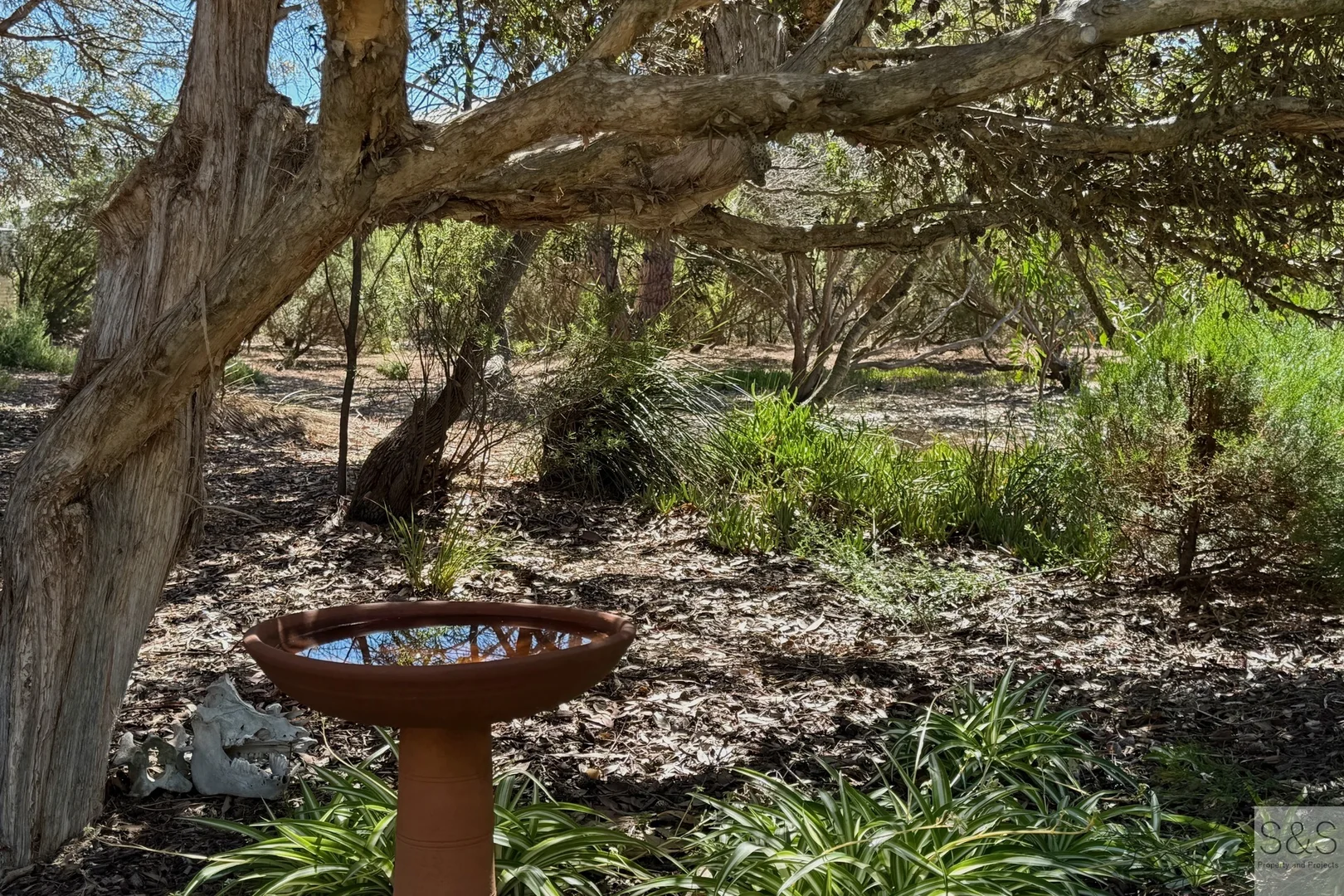 Additional image 27 of 10 Fourth Street, Sapphiretown SA 5222