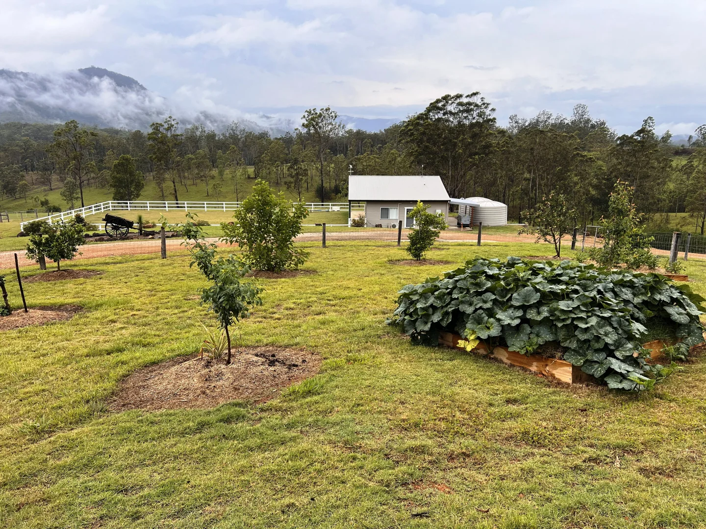 Additional image 14 of 6892 Gwydir Highway, Cangai NSW 2460