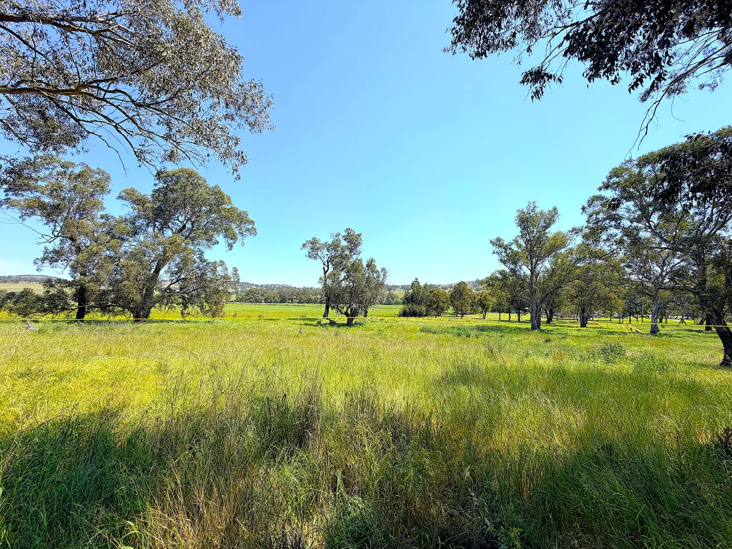 Additional image 5 of 40 Merriwa Road, Willow Tree NSW 2339