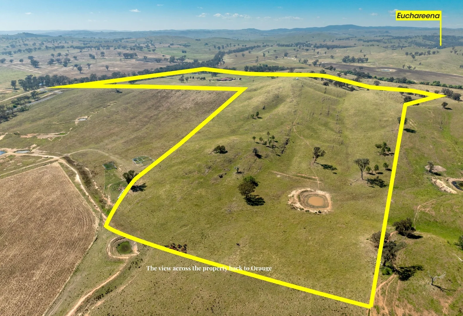 Additional image 22 of 'Shepherds Rest' 4535 Burrendong Way, Euchareena NSW 2866
