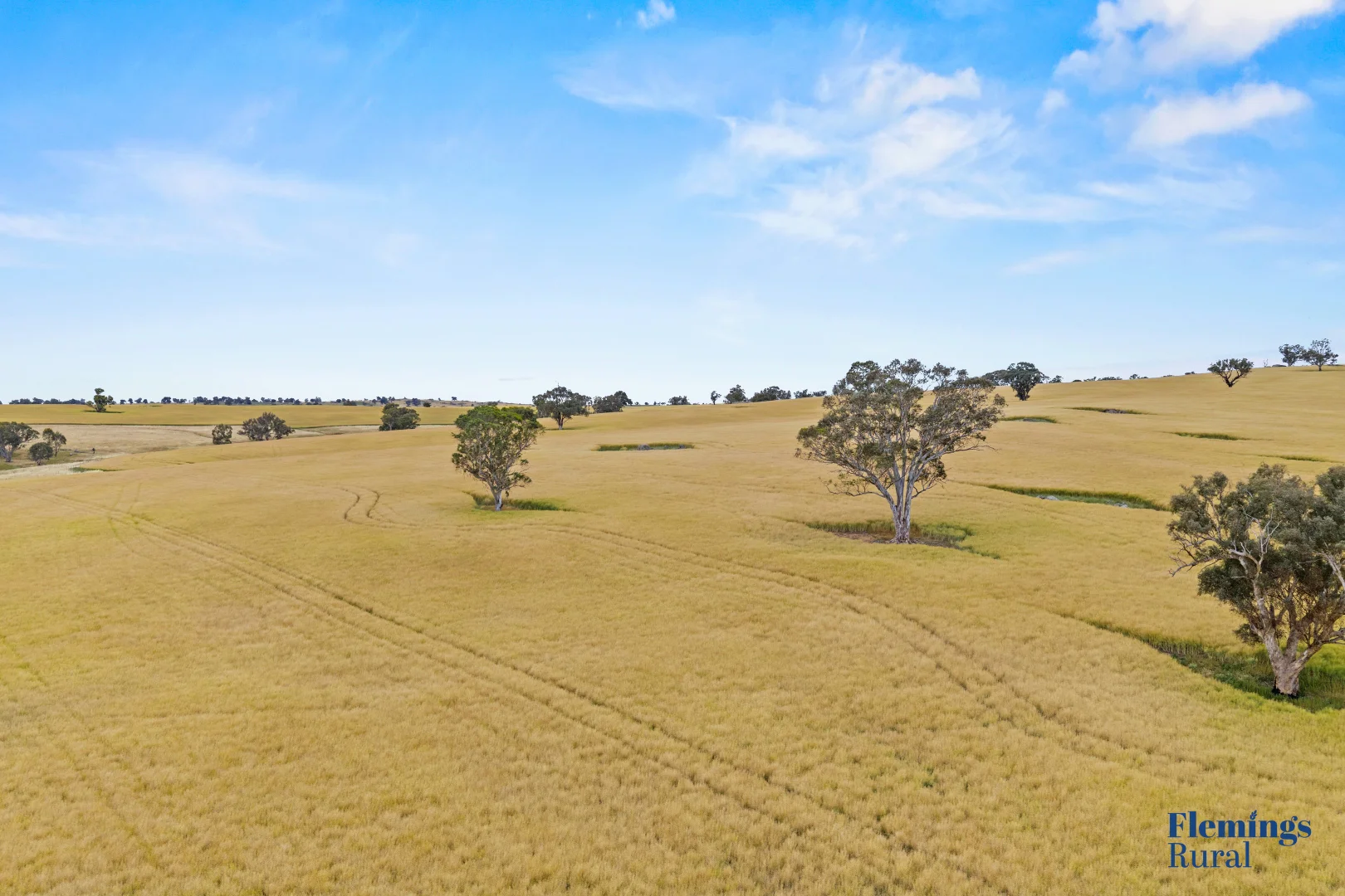 Additional image 23 of 170 Kanoona Road, Harden NSW 2587