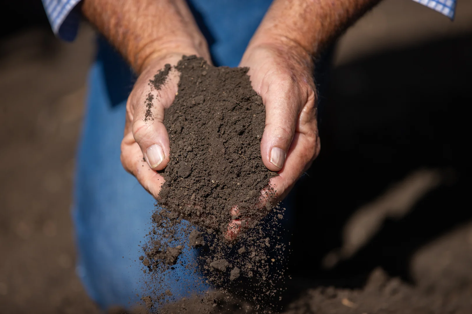 Additional image 22 of "Wanstead" 391 Cudmore Road, Cambooya QLD 4358