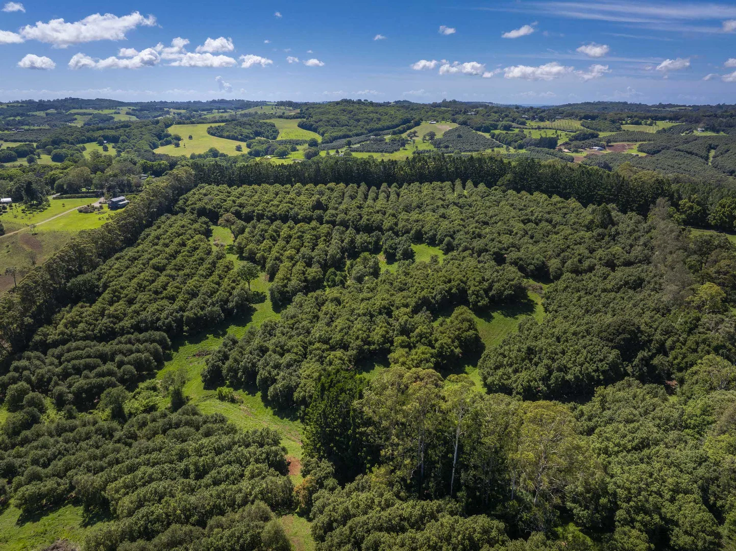 Additional image 9 of McLeans Ridges NSW 2480