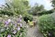Additional image 4 of Godesdone Road, Cambridge, CB5