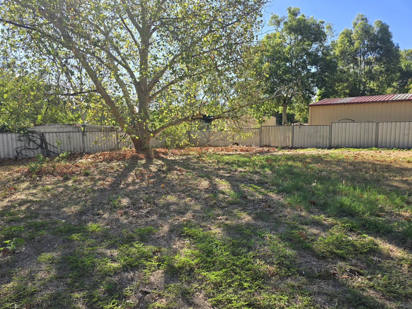 Additional image 15 of 9 Graf Street, Condobolin NSW 2877