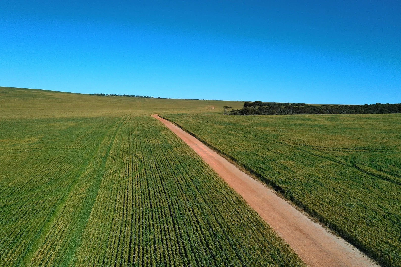 6062 Coorow-Greenhead Road, Warradarge WA 6518