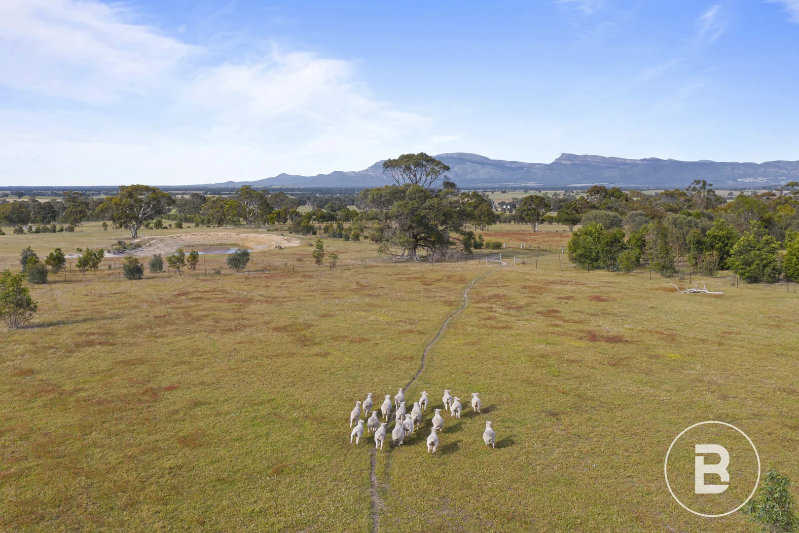 Additional image 29 of 681 Bunjils Cave Road, Black Range VIC 3381