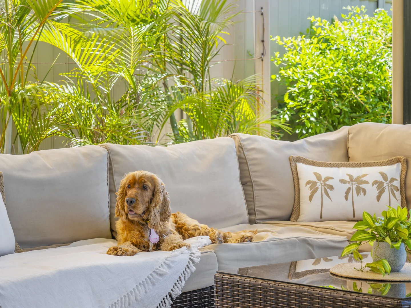 Additional image 10 of 20 Manakin Avenue, Burleigh Waters QLD 4220