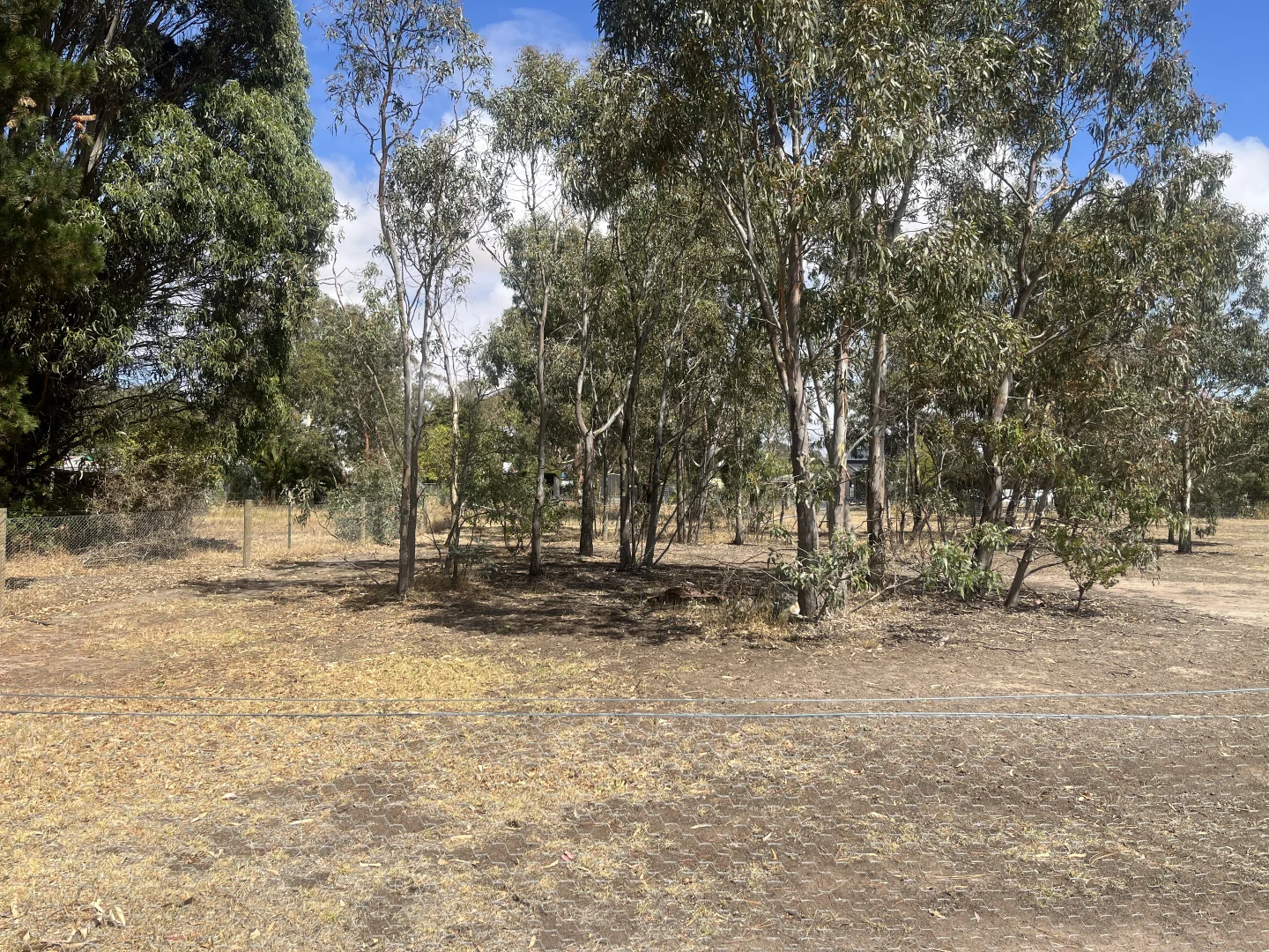 Additional image 9 of Henry Street, Glenthompson VIC 3293