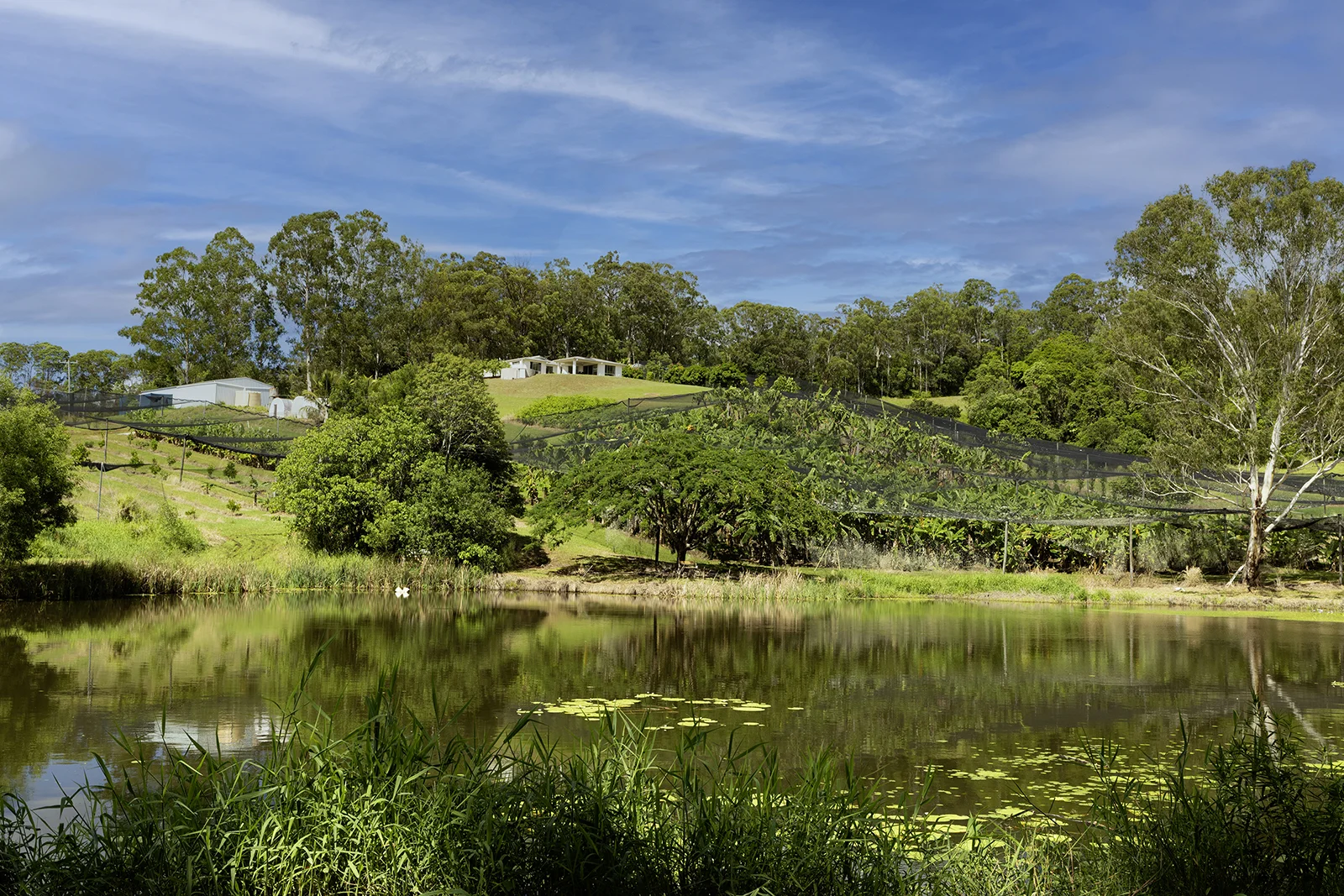 Additional image 2 of 654 Blackall Range Road, West Woombye QLD 4559