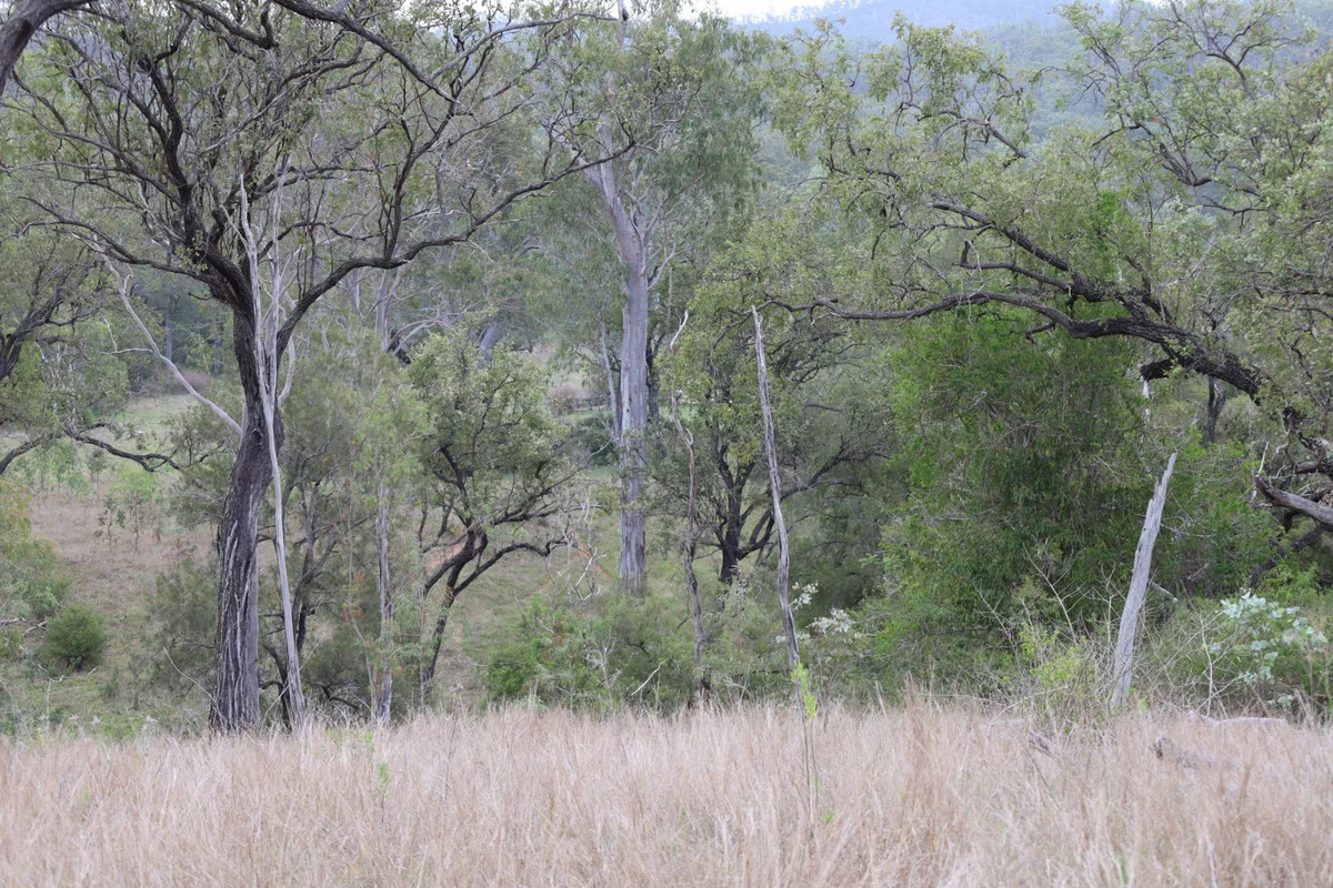 Additional image 19 of 479 Pine Mountain Creek Road, Monto QLD 4630