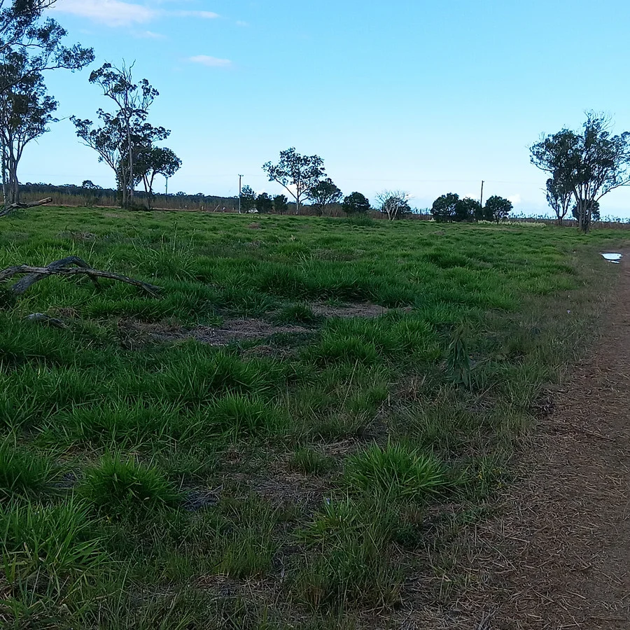 Additional image 4 of 1/133 Price Street, Kensington QLD 4670