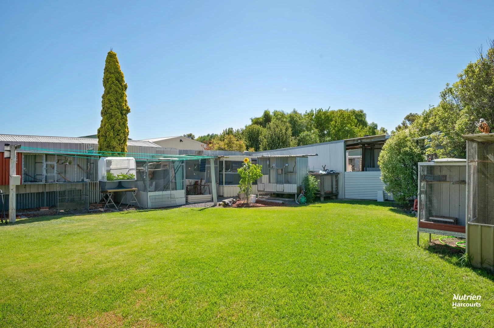 Additional image 10 of 3 James Street, Kingston Se SA 5275