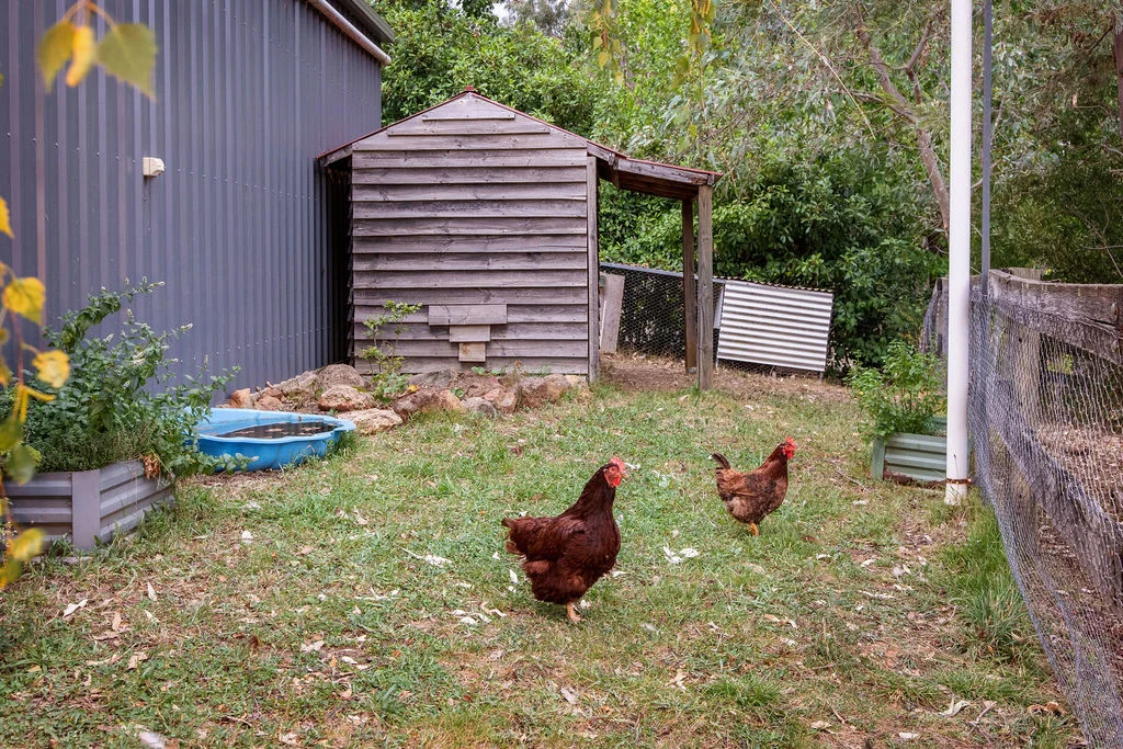 Additional image 20 of 22 Crystal Creek Lane, Yackandandah VIC 3749