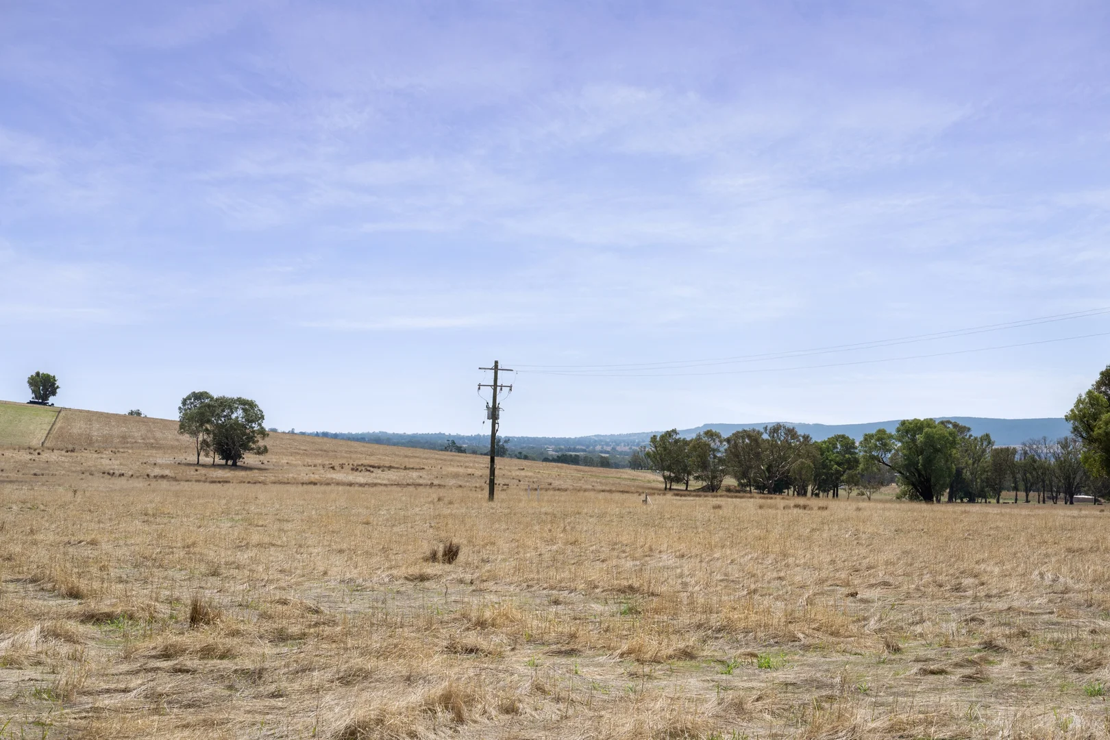 Additional image 7 of 501 Dights Forest Road, Table Top NSW 2640