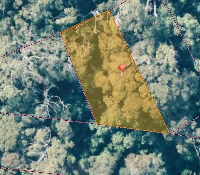 Additional image 9 of lot 1 1824490 Edward Street West Coast [Balfour], Temma TAS 7330