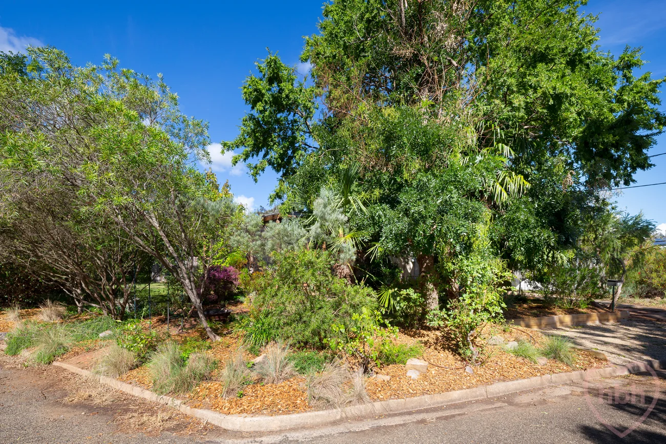 Additional image 30 of 1 Harding Street, Watson ACT 2602