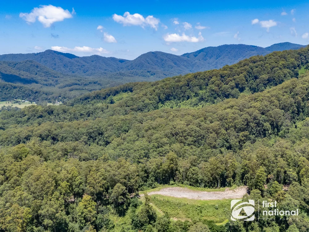 Additional image 11 of Lot 65 North Island Loop Road, Upper Orara NSW 2450