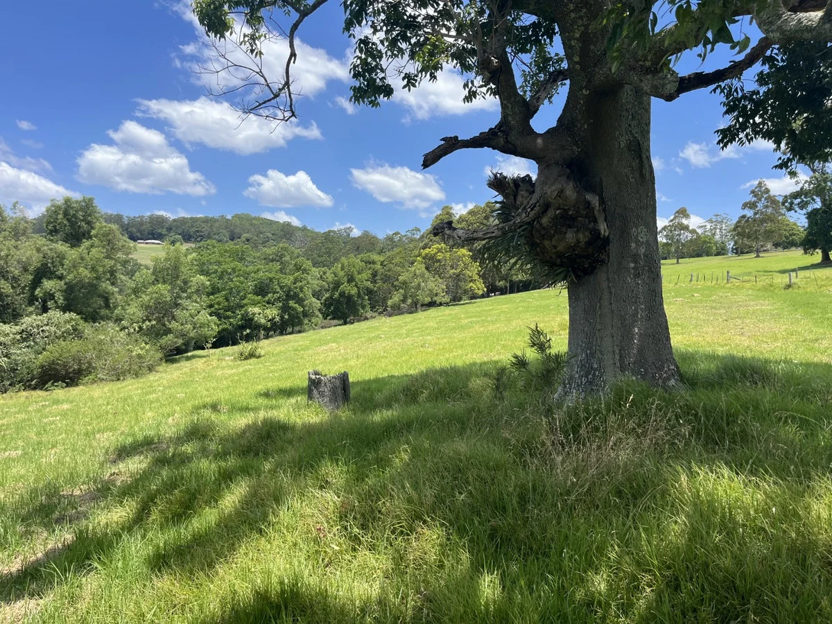 Additional image 6 of Lot 39 Esk-Hampton Road, Ravensbourne QLD 4352