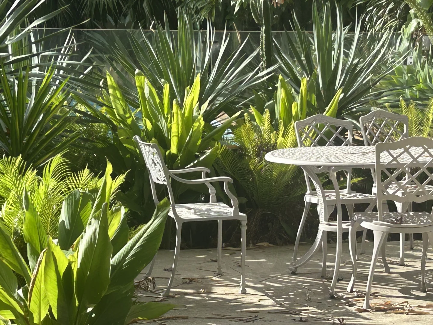 Additional image 29 of 6 Holme Street, Terara NSW 2540