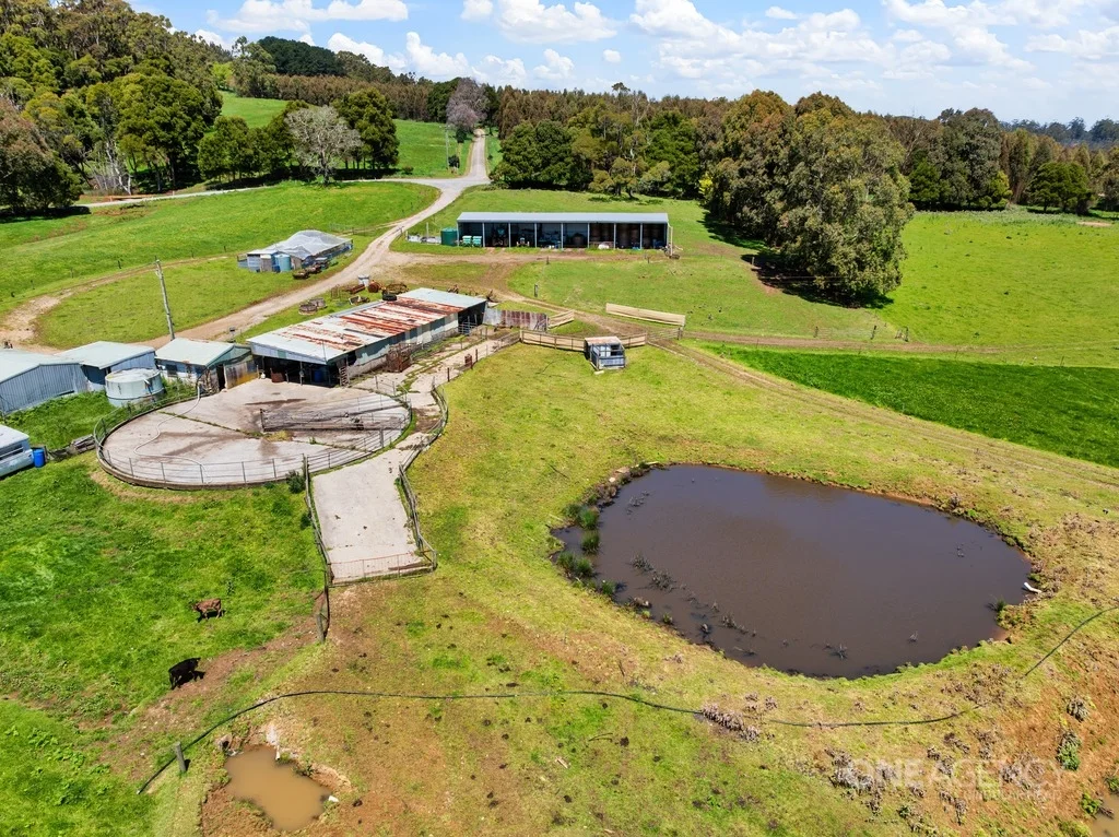 Additional image 22 of 108 Mclachlans Road, Irishtown TAS 7330