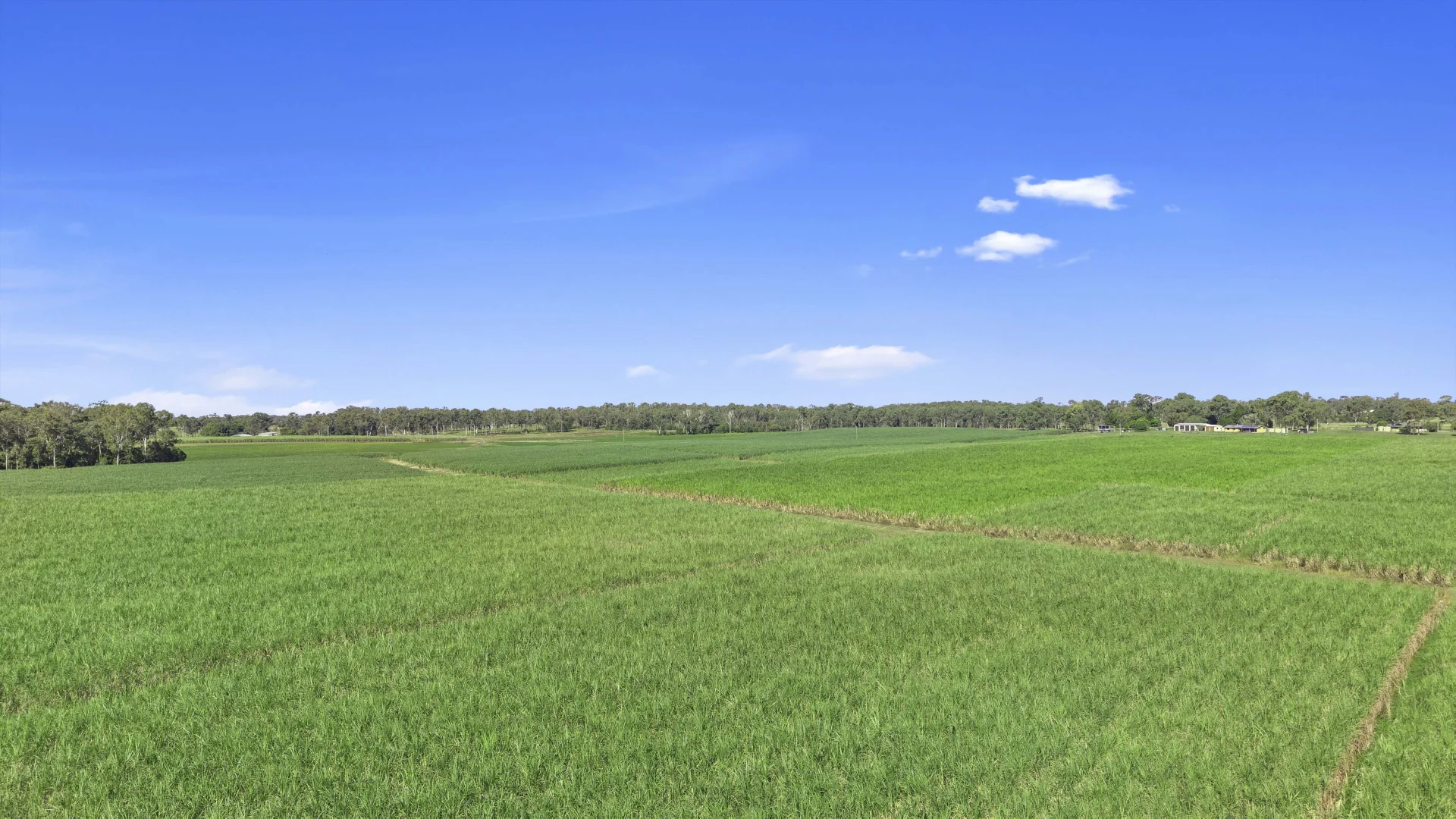 Additional image 9 of 91, Peake Farm, Walkers Point Road, Granville QLD 4650