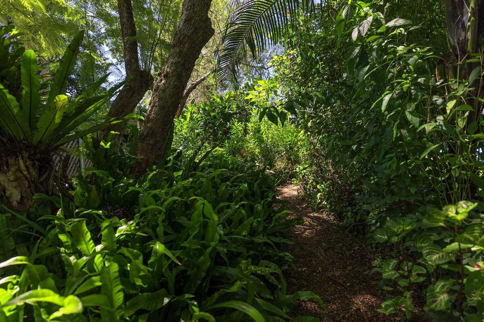 Additional image 29 of 129 Richmond Hill Road, Richmond Hill NSW 2480