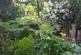 Additional image 16 of Venner Road, Sydenham, London