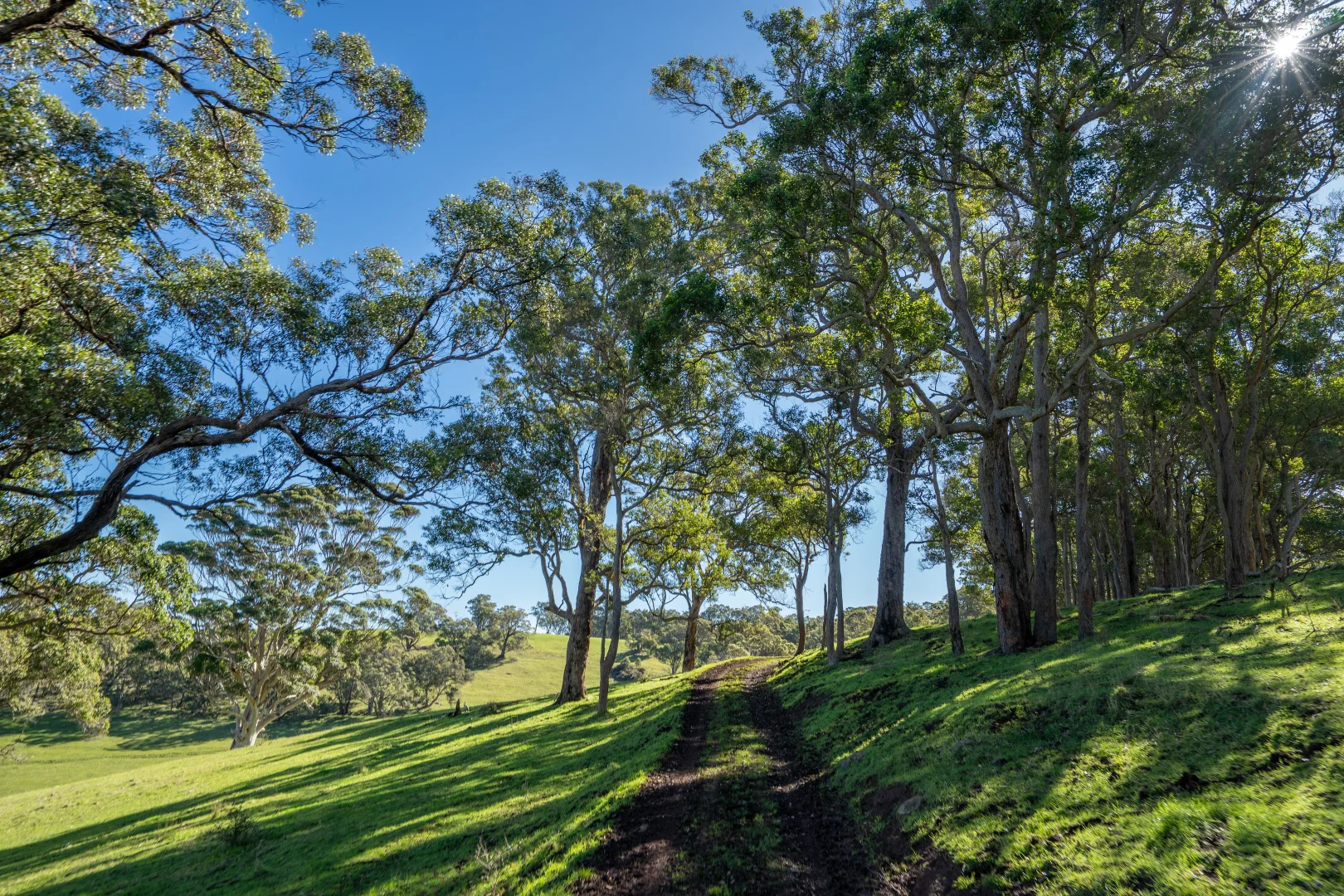 Additional image 15 of 461 Nanarup Road, Kalgan WA 6330