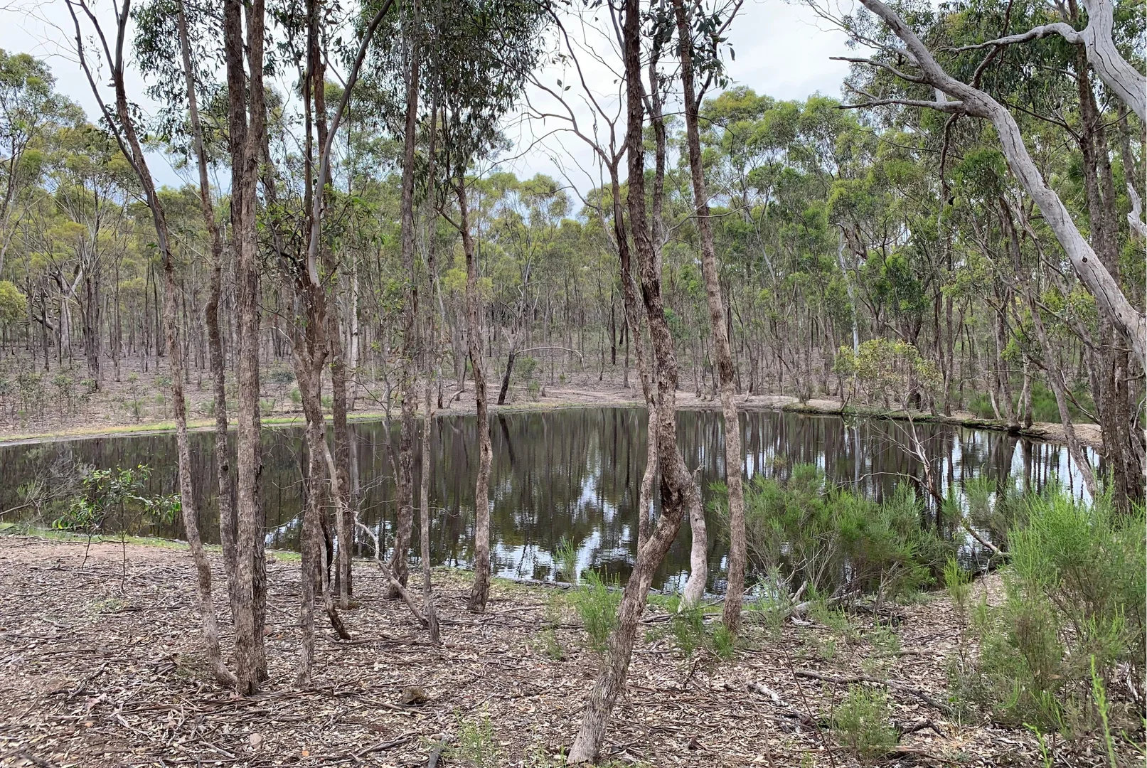 Additional image 3 of Lot 12 Heathcote-Nagambie Road, Moormbool West VIC 3523