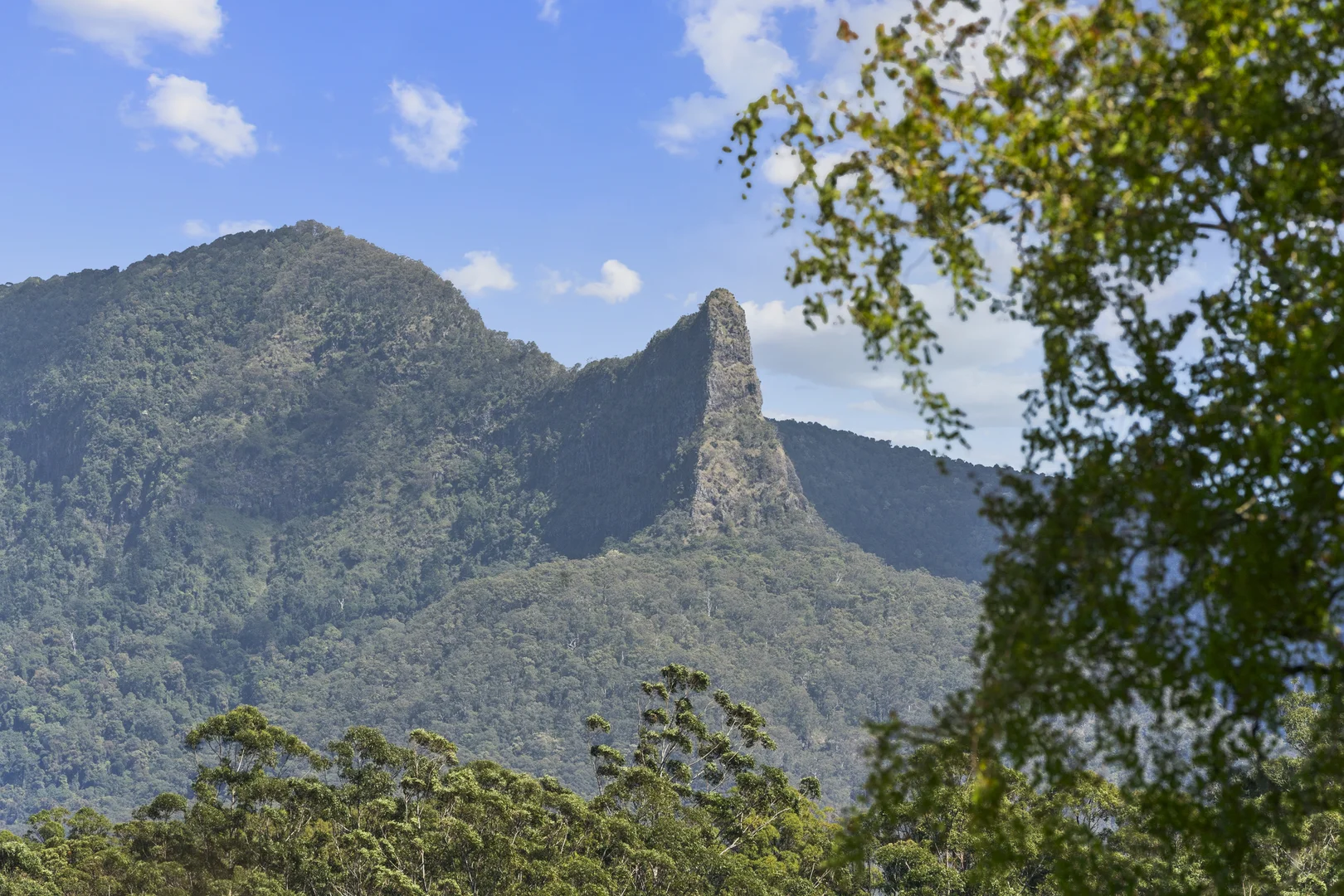 Additional image 12 of 703 Brays Creek Road, Brays Creek NSW 2484