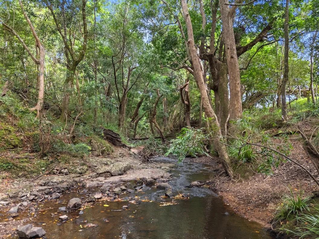 Additional image 18 of Lot 4 Newspaper Hill Road, Belli Park QLD 4562