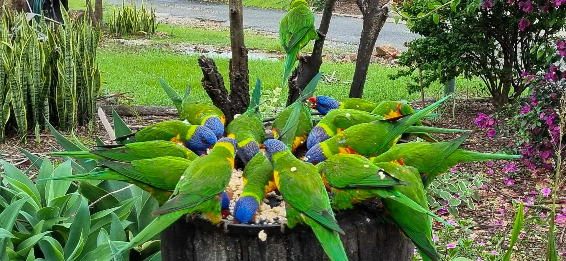 Additional image 42 of 324-346 Greensward Road, Tamborine QLD 4270